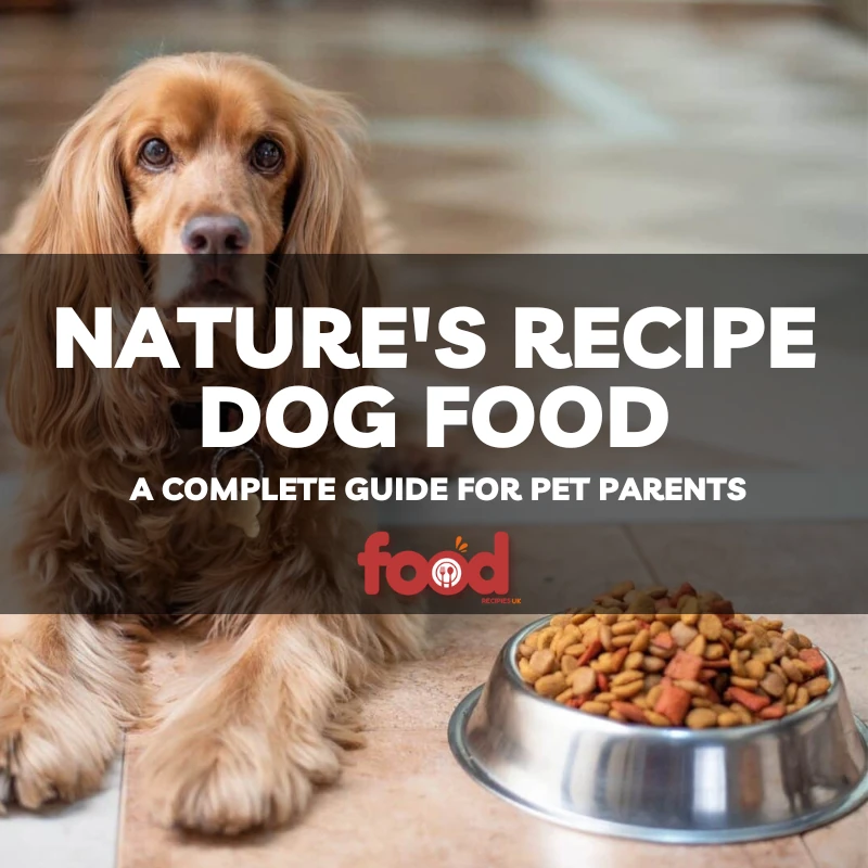 Dog food guide