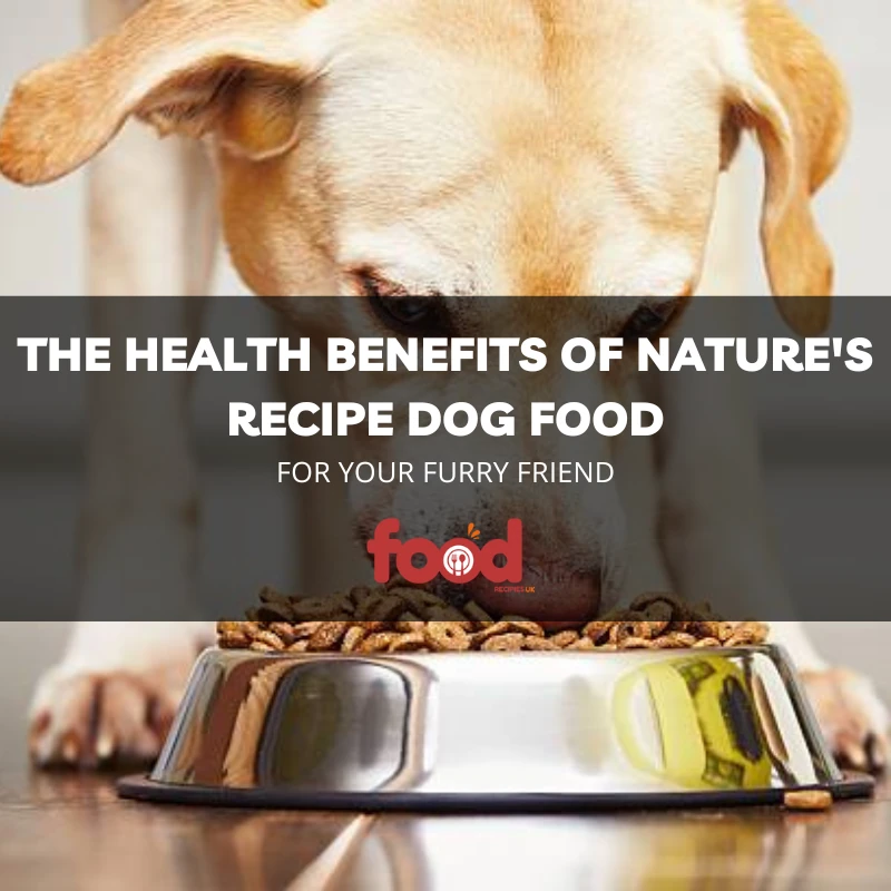 Natures dog food guide