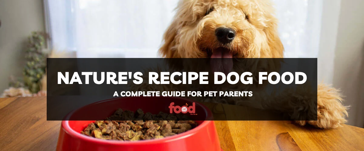 Natures recipe dog food guide