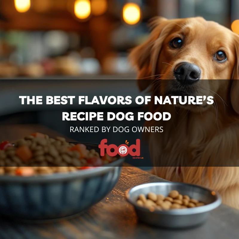 The Best Flavors of Nature’s Recipe Dog Food Ranked by Dog Owners