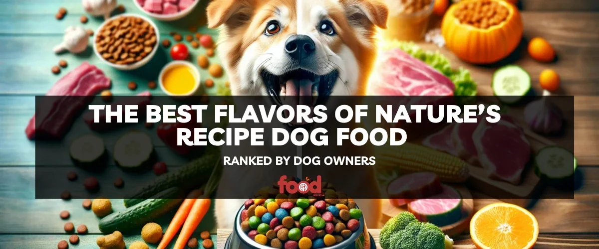 The Best Flavors of Nature’s Recipe Dog Food Ranked by Dog Owners