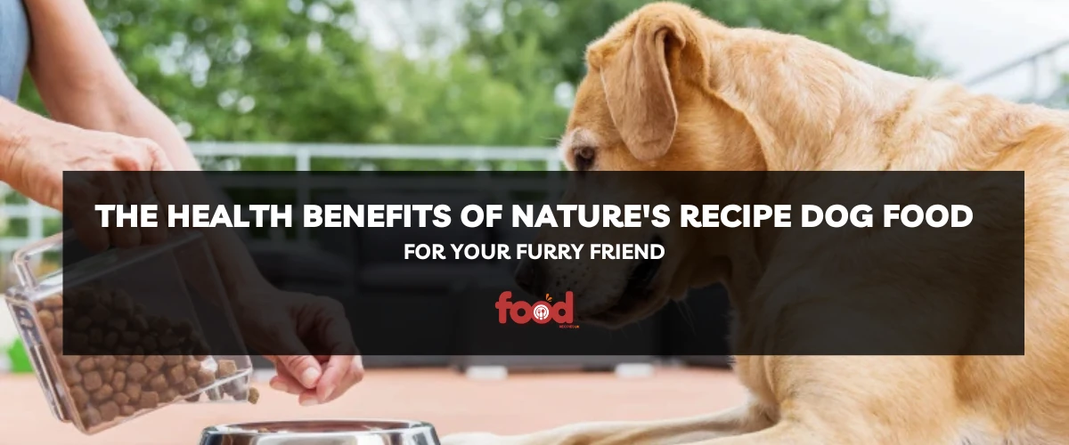 The Health Benefits of Nature's Recipe Dog Food