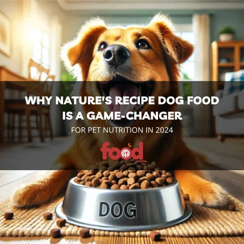 dog food for dog