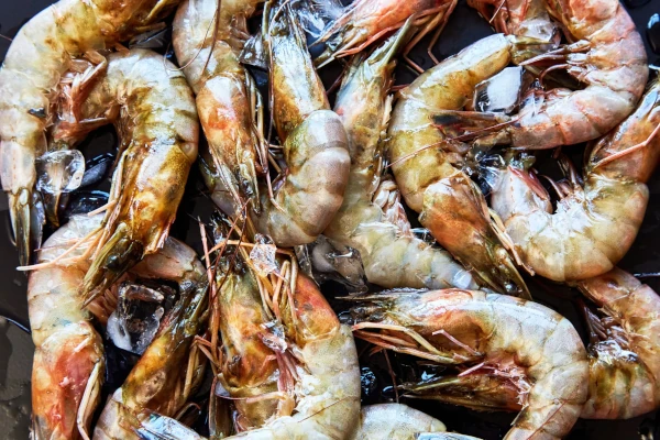 shrimp for fish feed recipe