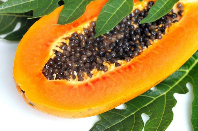 Papaya
