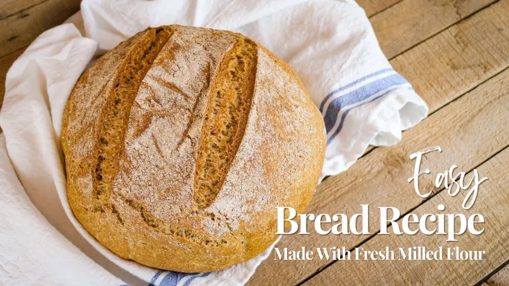 Fresh Milled Flour Bread Recipe